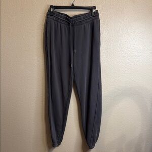 Aerie’s Gray Jogger Pants SZ XS